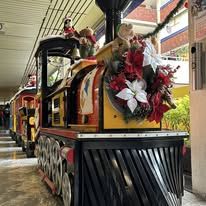 Tren Tutu Expresso foto